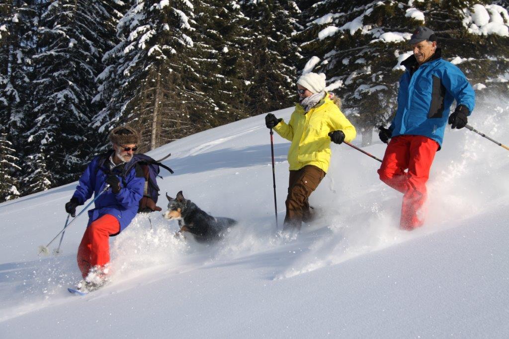Geführte Schneeschuhtouren
