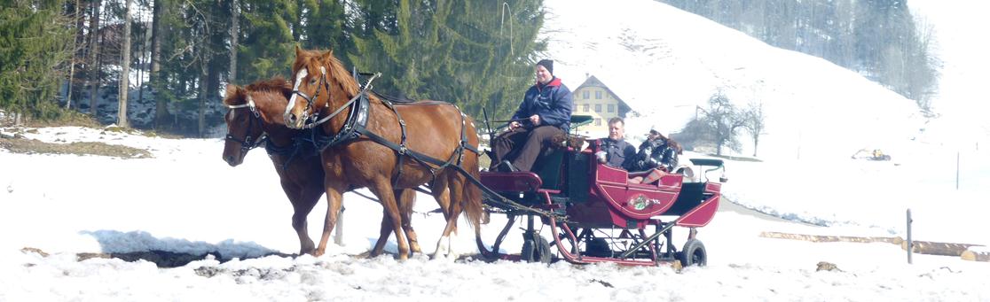 pferdefahrten winter